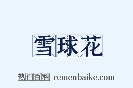 雪球花是什么意思的图片